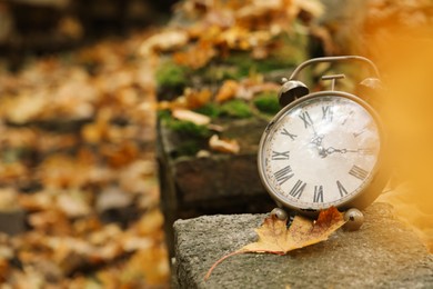 Photo of Autumn time. Alarm clock in forest, space for text