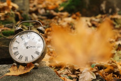 Photo of Autumn time. Alarm clock in forest, space for text