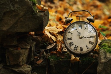 Photo of Autumn time. Alarm clock in forest, space for text