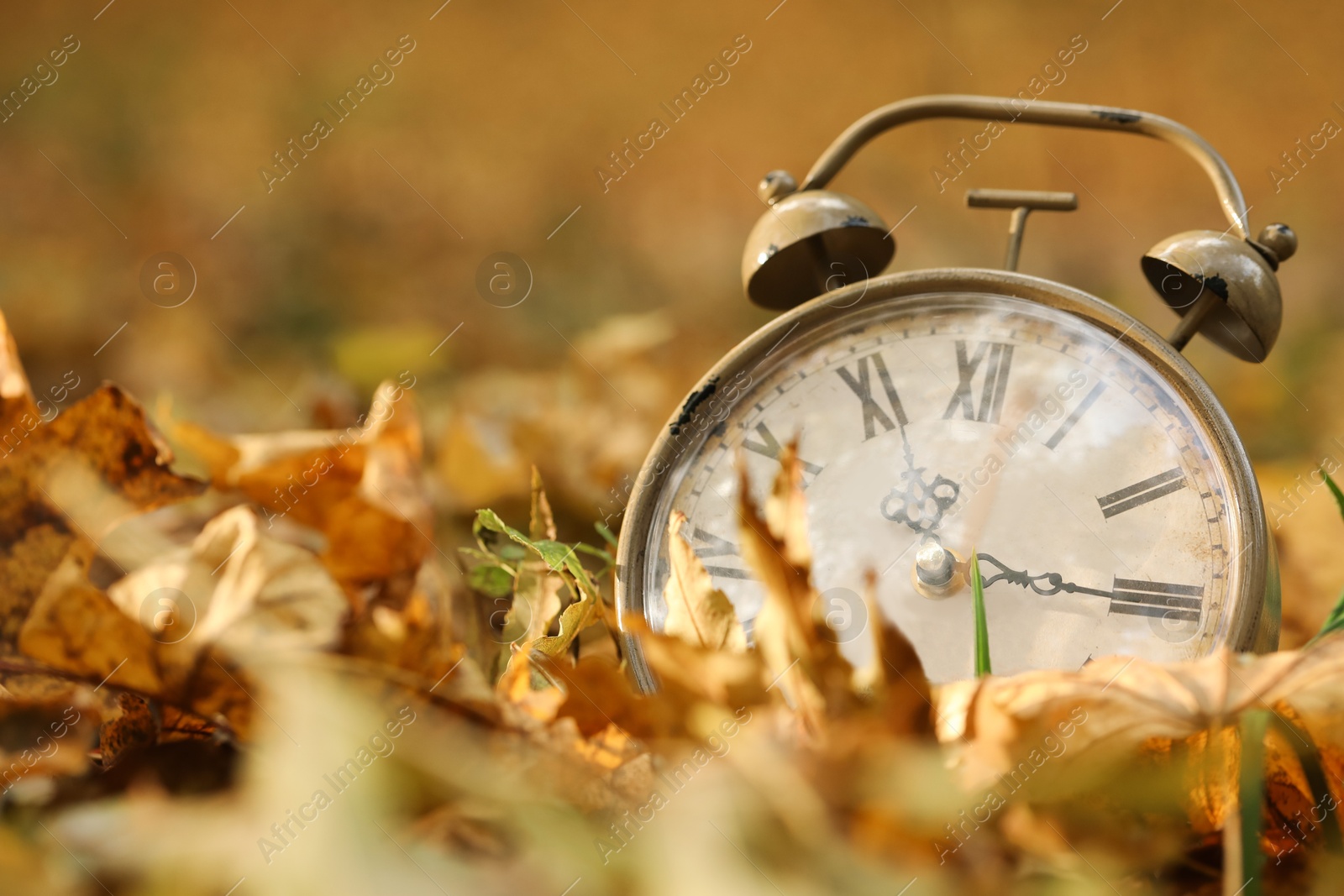 Photo of Autumn time. Vintage clock on fallen leaves in park, closeup with space for text