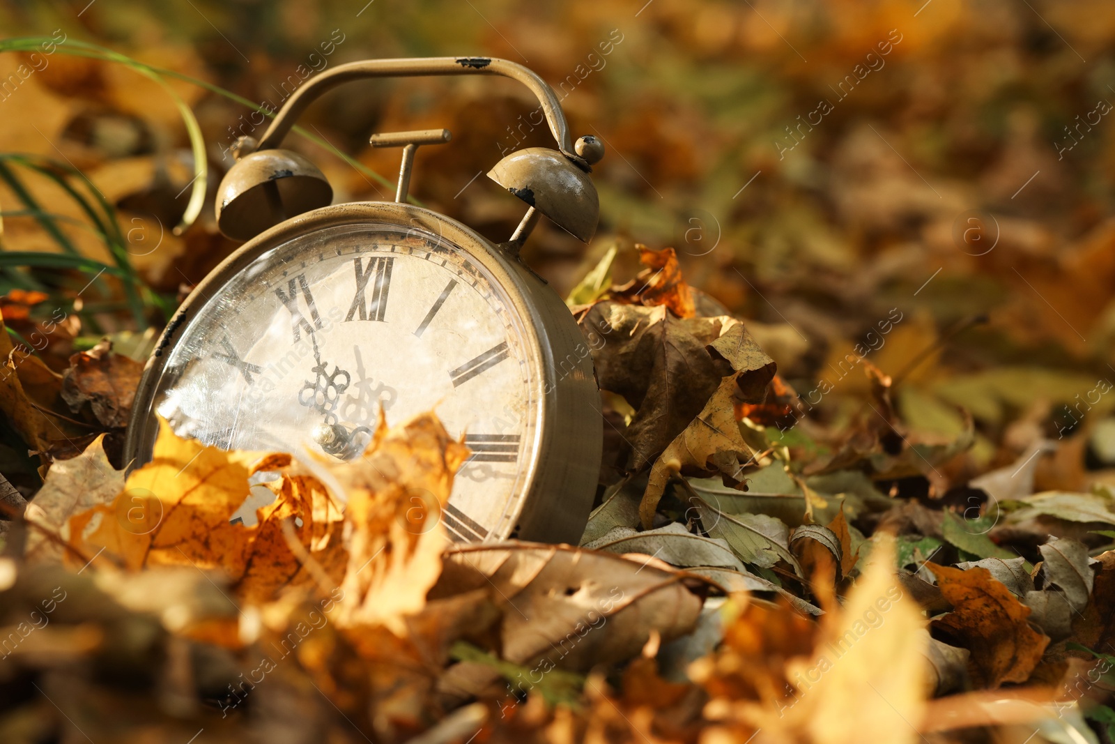 Photo of Autumn time. Vintage clock on fallen leaves in park, closeup with space for text