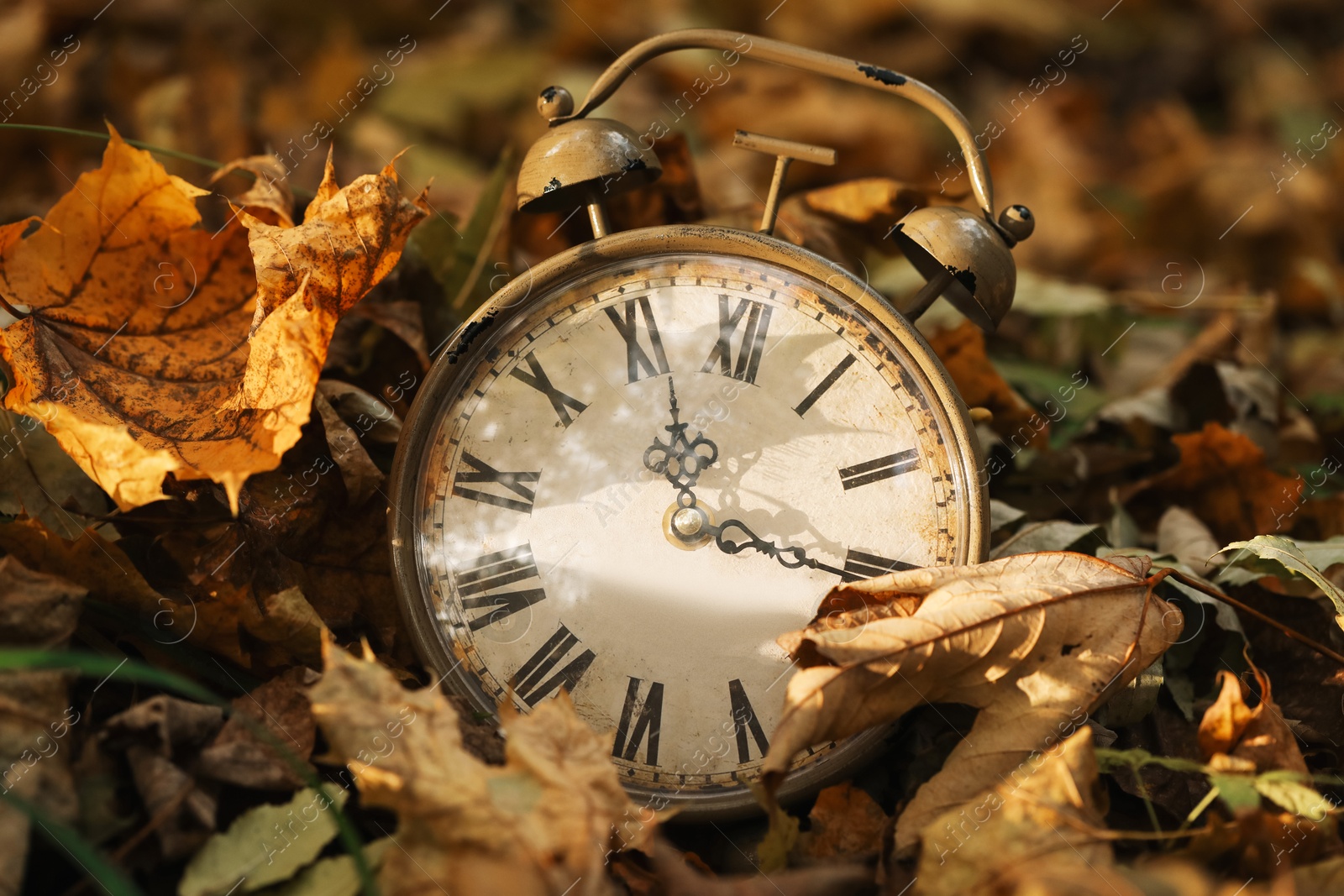 Photo of Autumn time. Vintage clock on fallen leaves in park, closeup