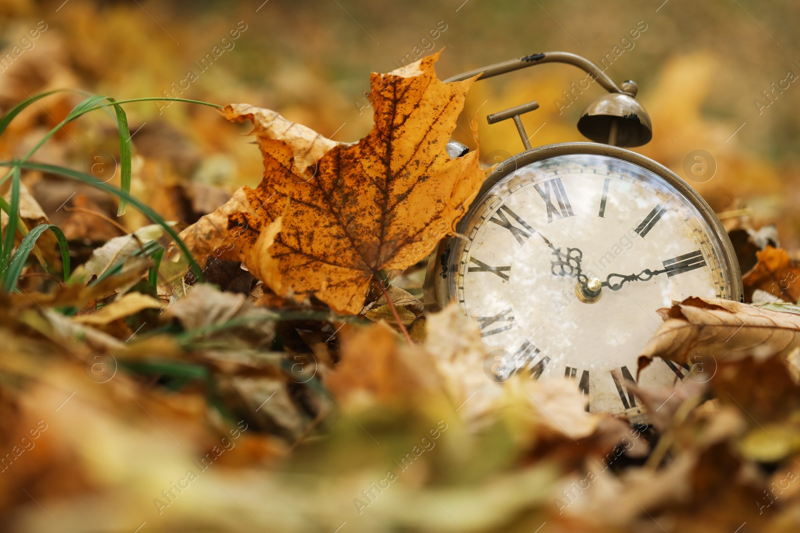 Photo of Autumn time. Vintage clock on fallen leaves in park, closeup with space for text