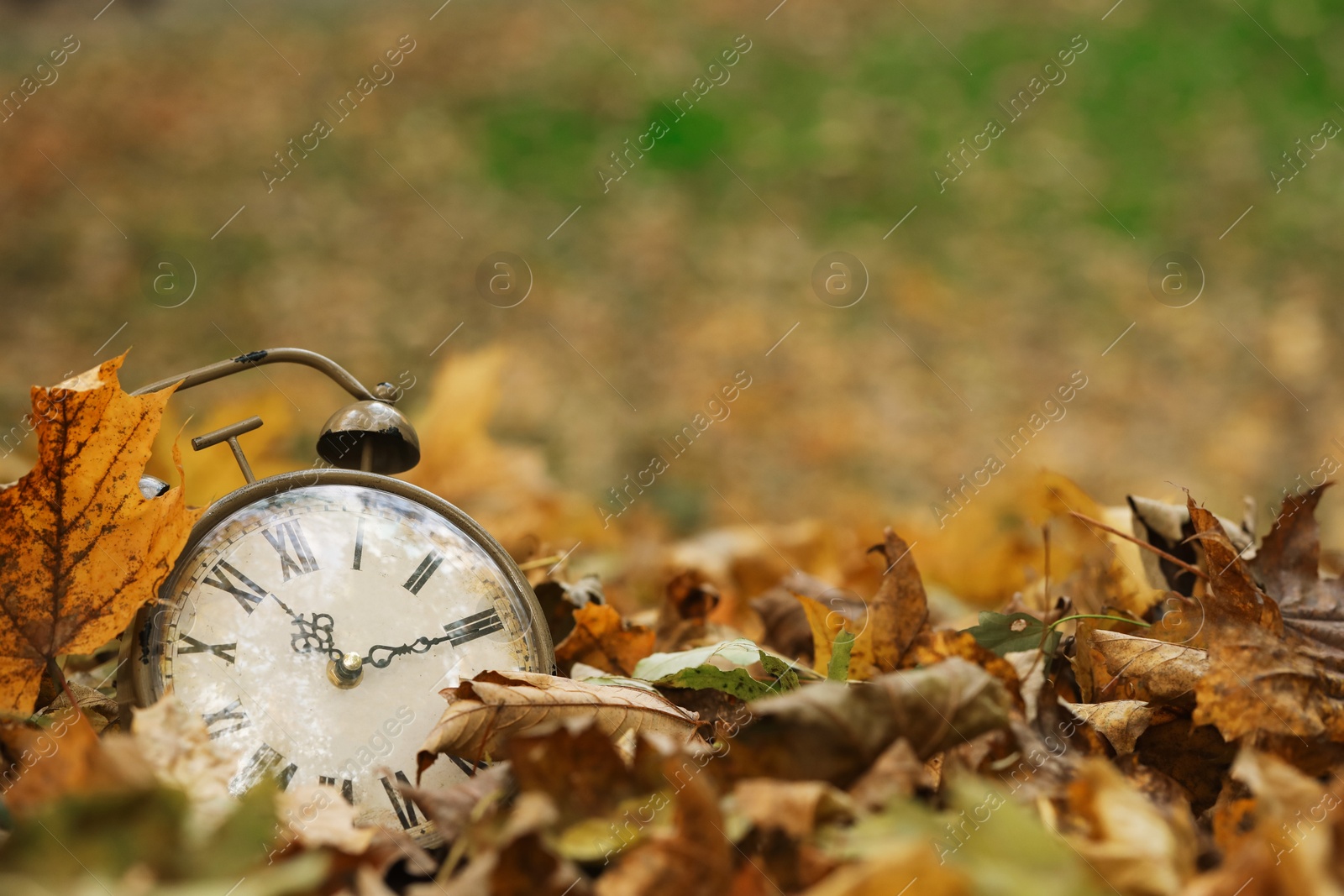 Photo of Autumn time. Vintage clock on fallen leaves in park, closeup with space for text