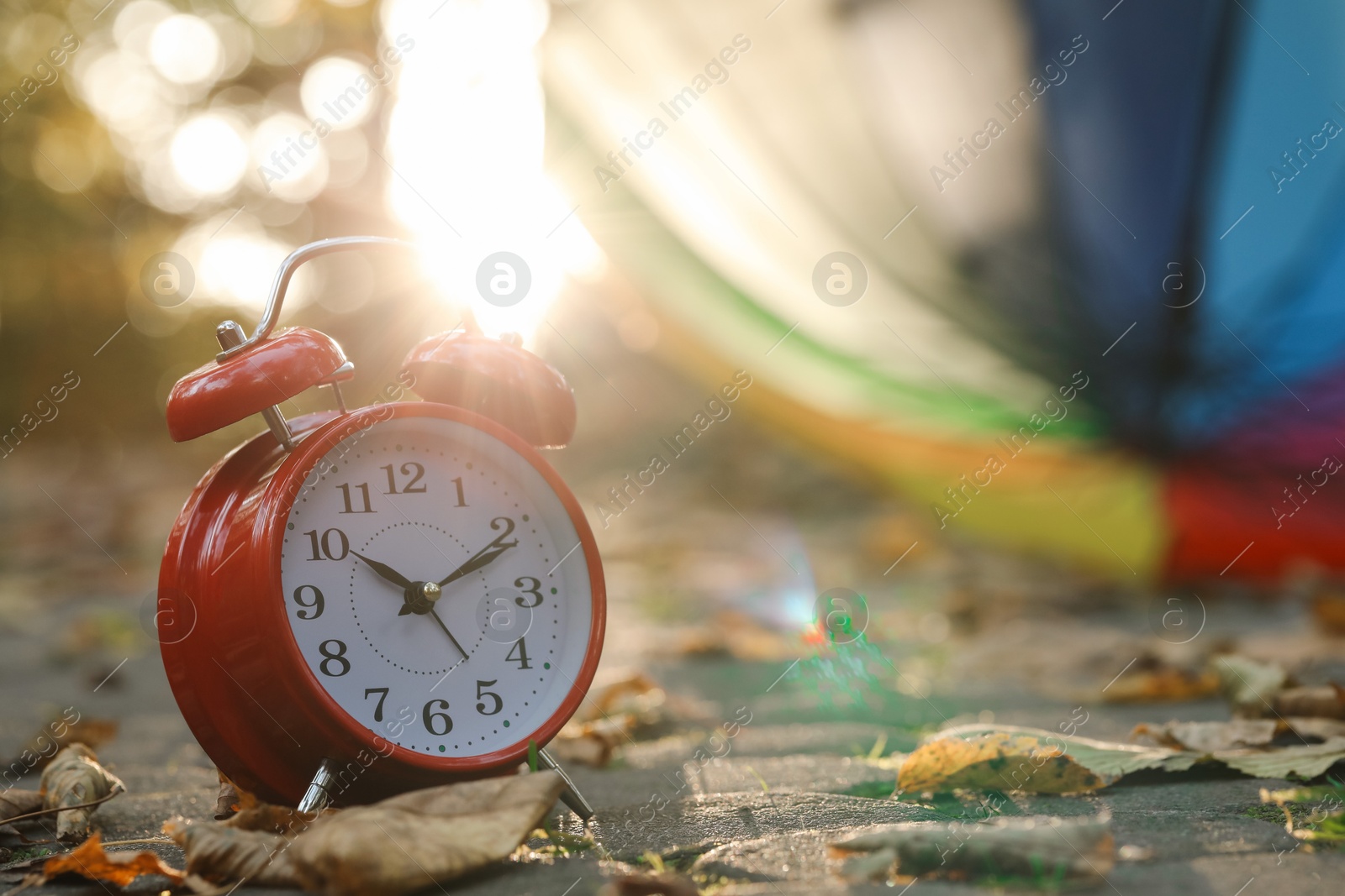 Photo of Autumn time. Alarm clock and umbrella in park, selective focus