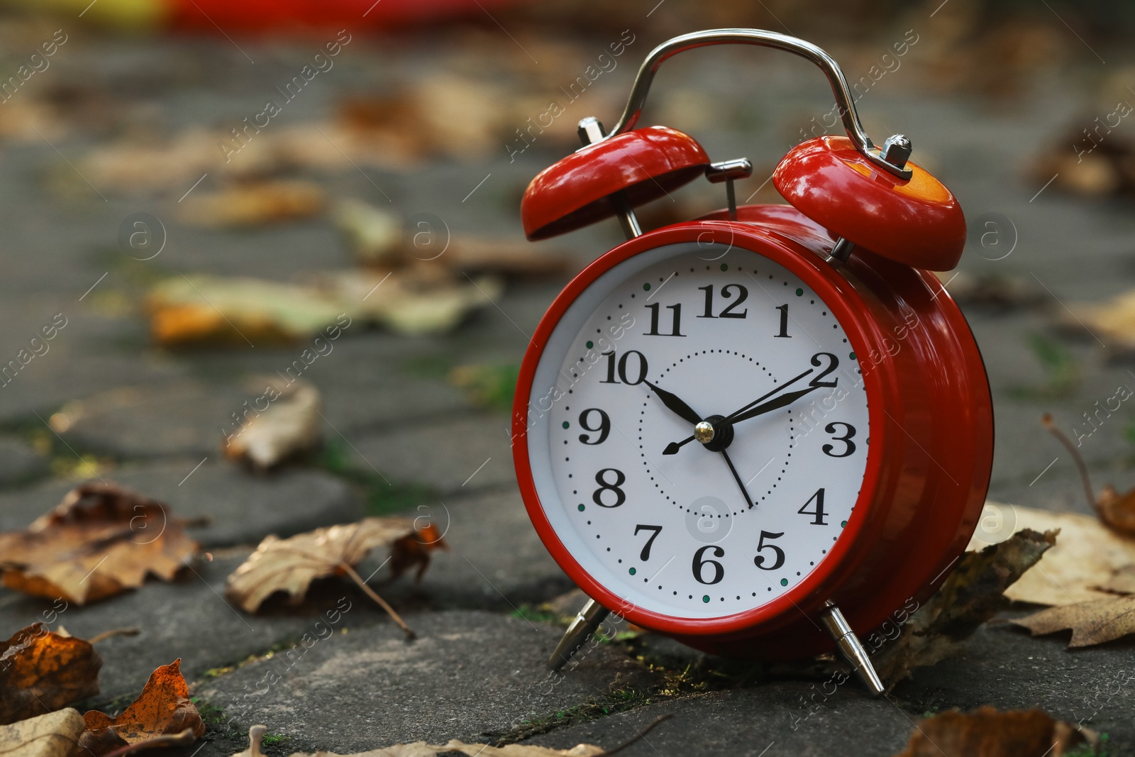 Photo of Autumn time. Alarm clock and fallen leaves on pathway in park, closeup with space for text