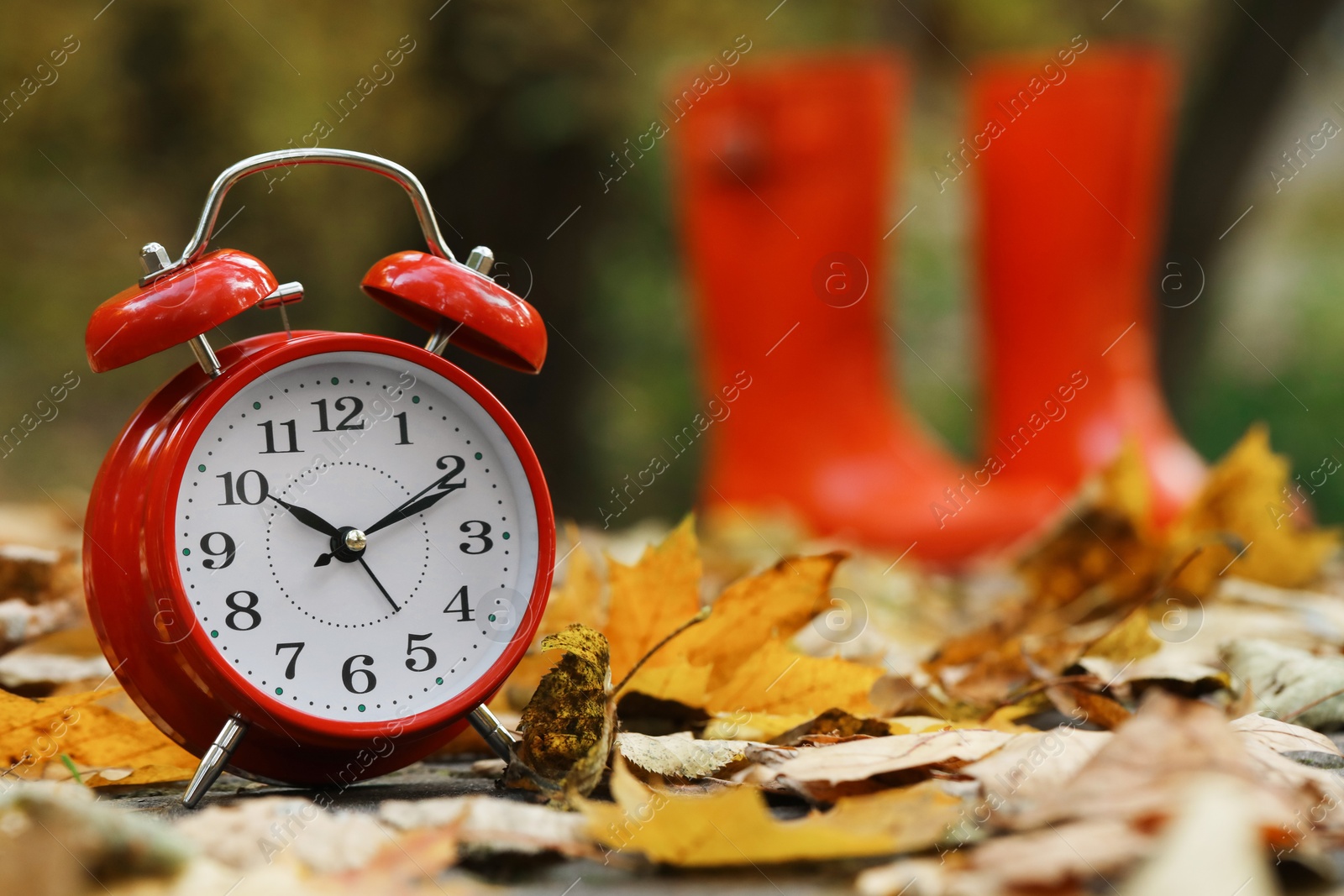 Photo of Autumn time. Alarm clock and rainboots in park, selective focus