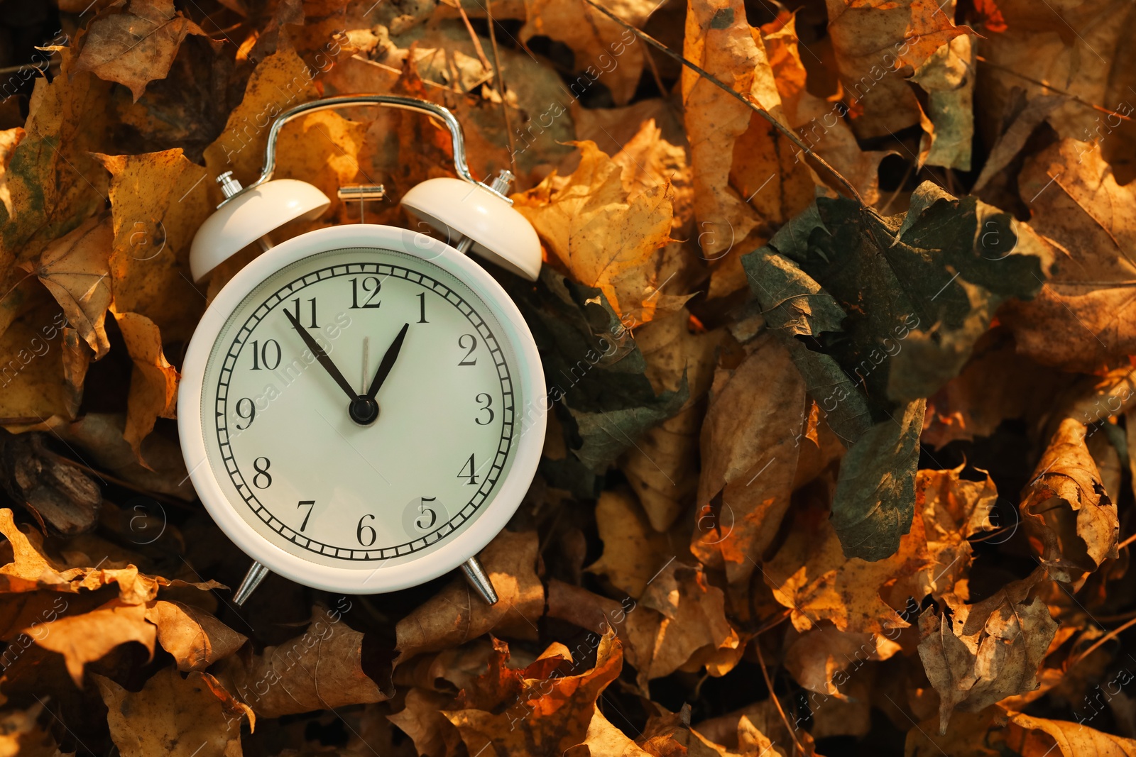 Photo of Autumn time. Alarm clock on fallen leaves outdoors, top view with space for text