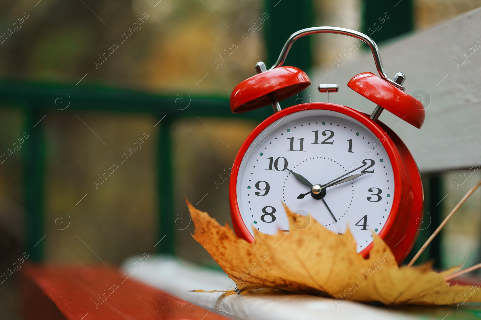 Photo of Autumn time. Alarm clock and fallen leaf on wooden bench outdoors, space for text