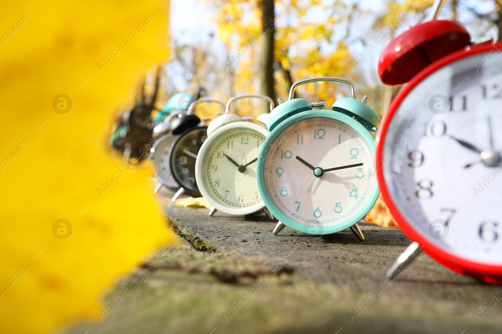 Photo of Alarm clocks on paved pathway in park at autumn, closeup