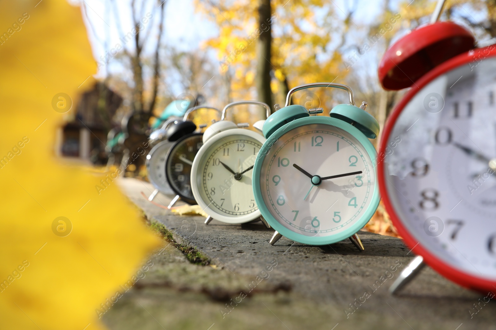 Photo of Alarm clocks on paved pathway in park at autumn, closeup