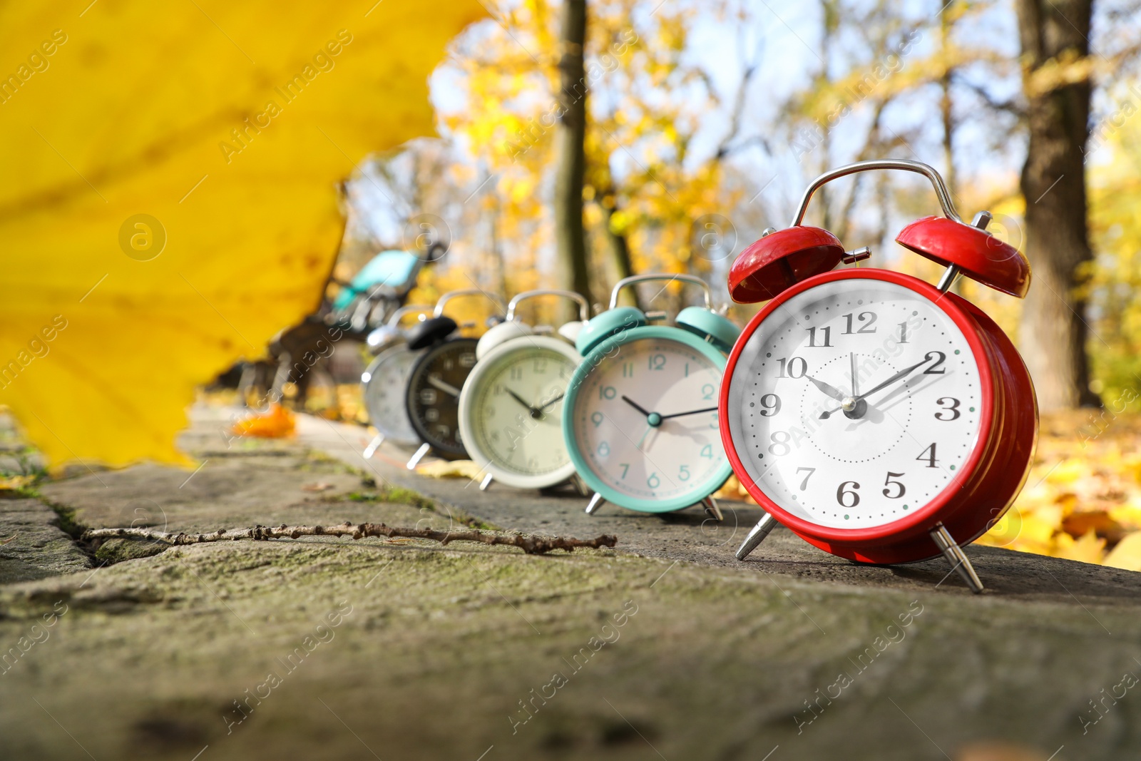 Photo of Alarm clocks on paved pathway in park at autumn