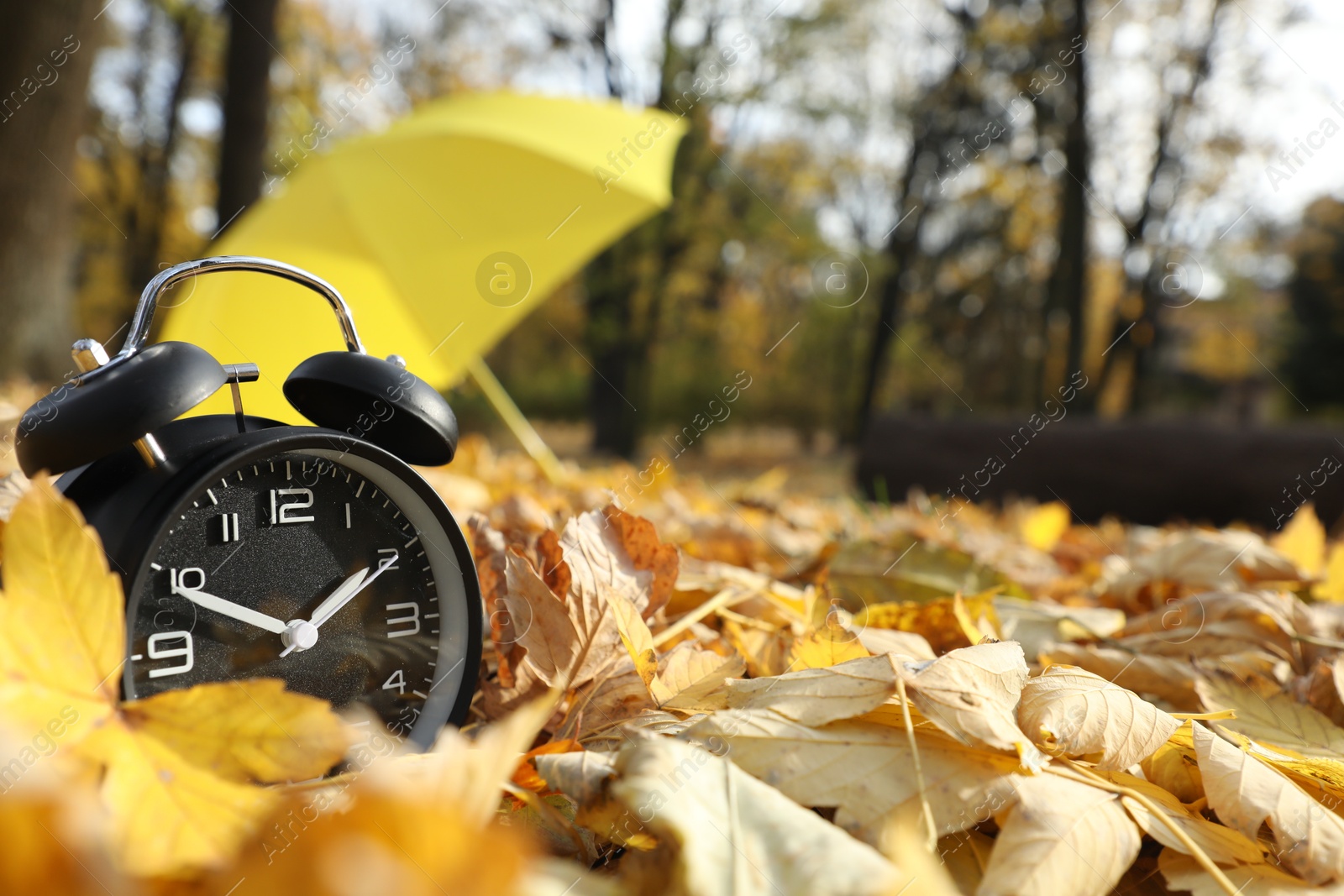 Photo of Alarm clock and yellow umbrella on dry leaves in park, closeup. Space for text