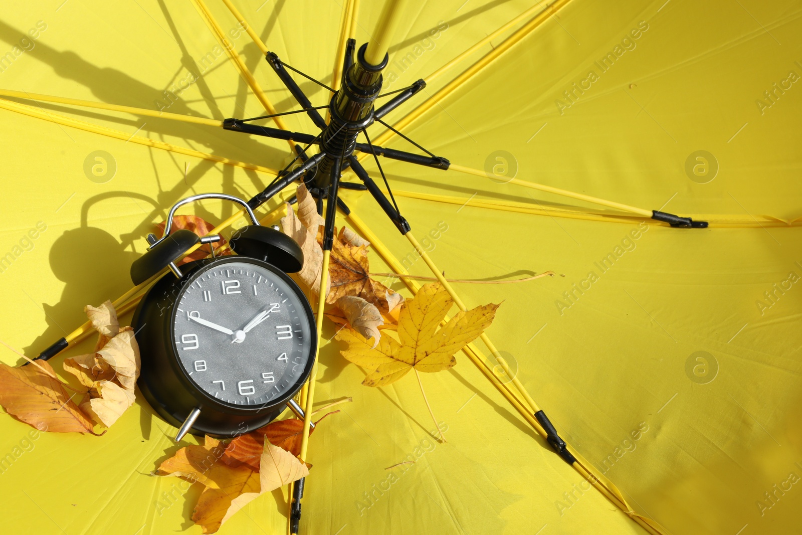 Photo of Alarm clock and dry leaves on yellow umbrella, closeup. Space for text