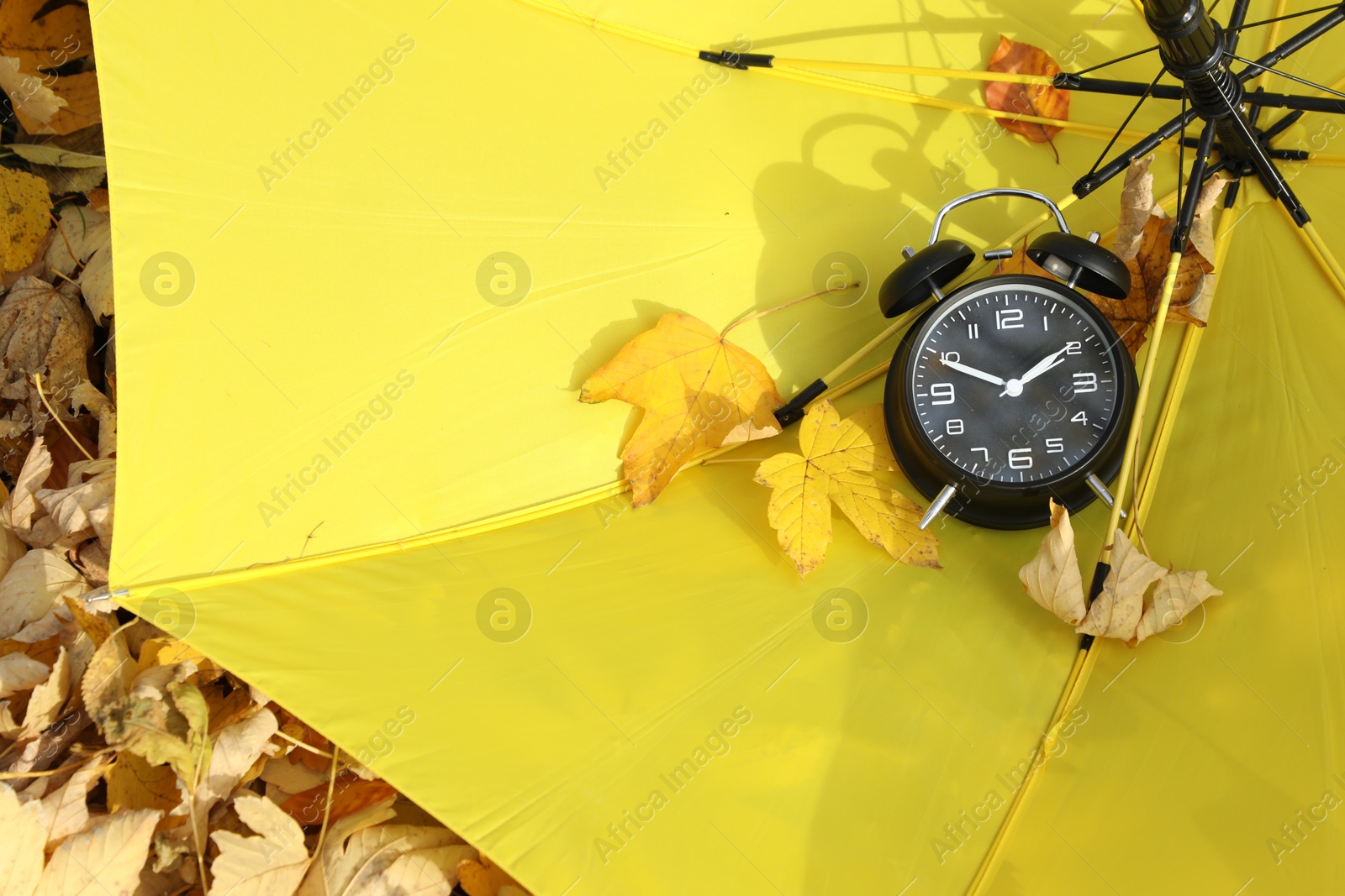 Photo of Alarm clock and dry leaves on yellow umbrella outdoors, above view. Space for text