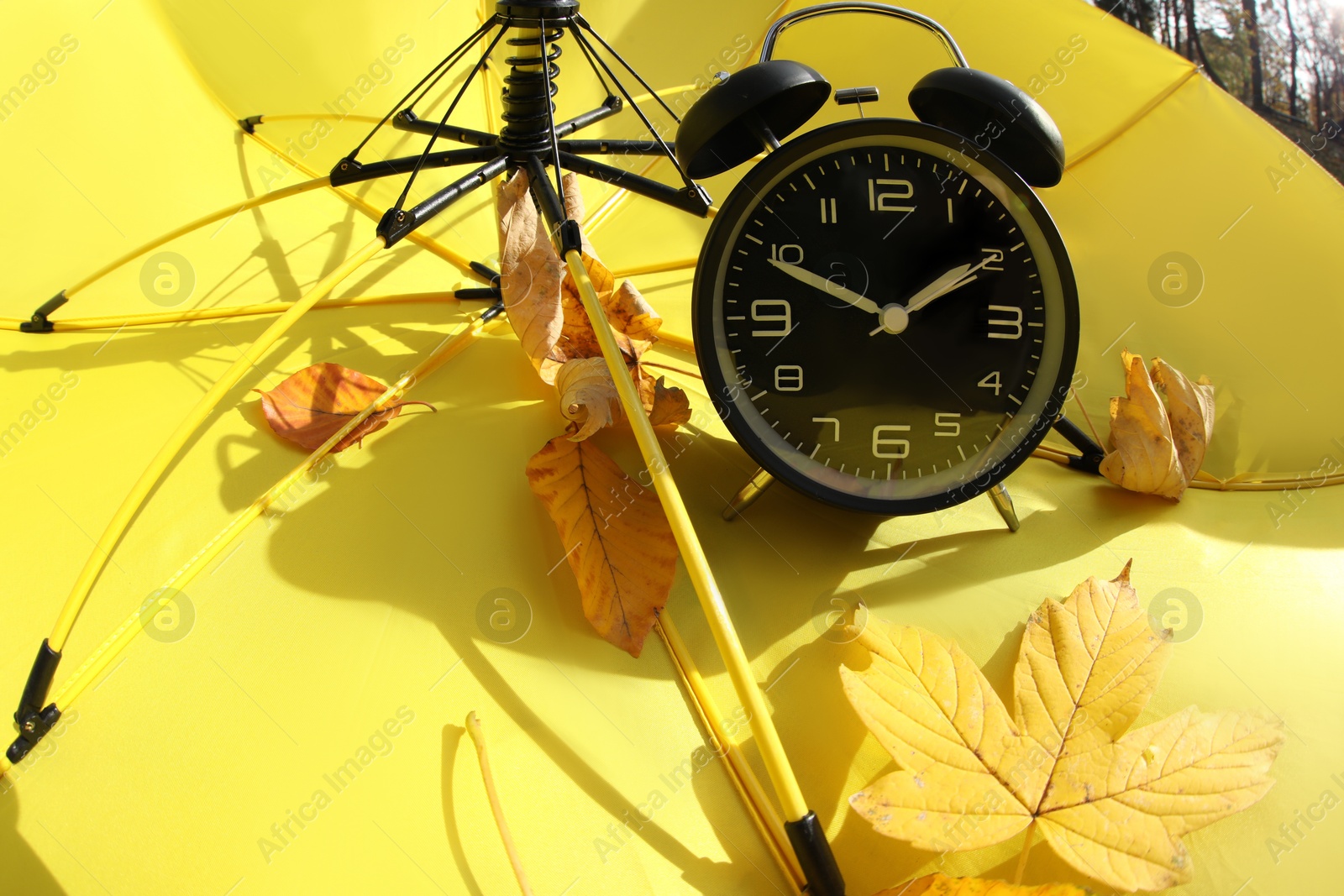 Photo of Alarm clock and dry leaves on yellow umbrella, closeup. Space for text