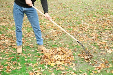 Man gathering fallen leaves with fan rake outdoors, closeup