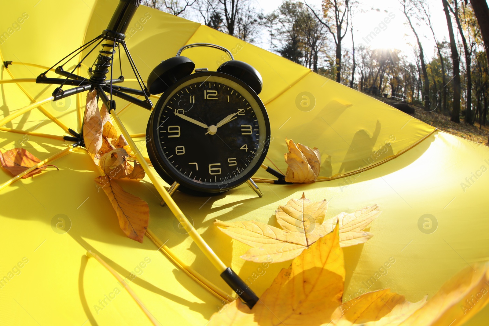 Photo of Alarm clock and dry leaves on yellow umbrella outdoors, closeup. Space for text