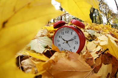 Photo of Alarm clock on dry leaves in park, closeup