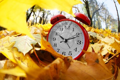 Photo of Alarm clock on dry leaves in park, closeup