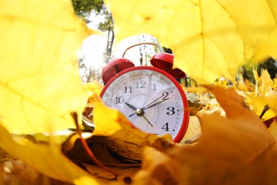 Photo of Alarm clock on dry leaves in park, closeup