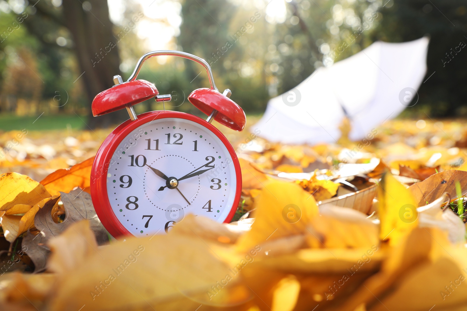 Photo of Alarm clock and white umbrella on dry leaves outdoors, closeup. Space for text