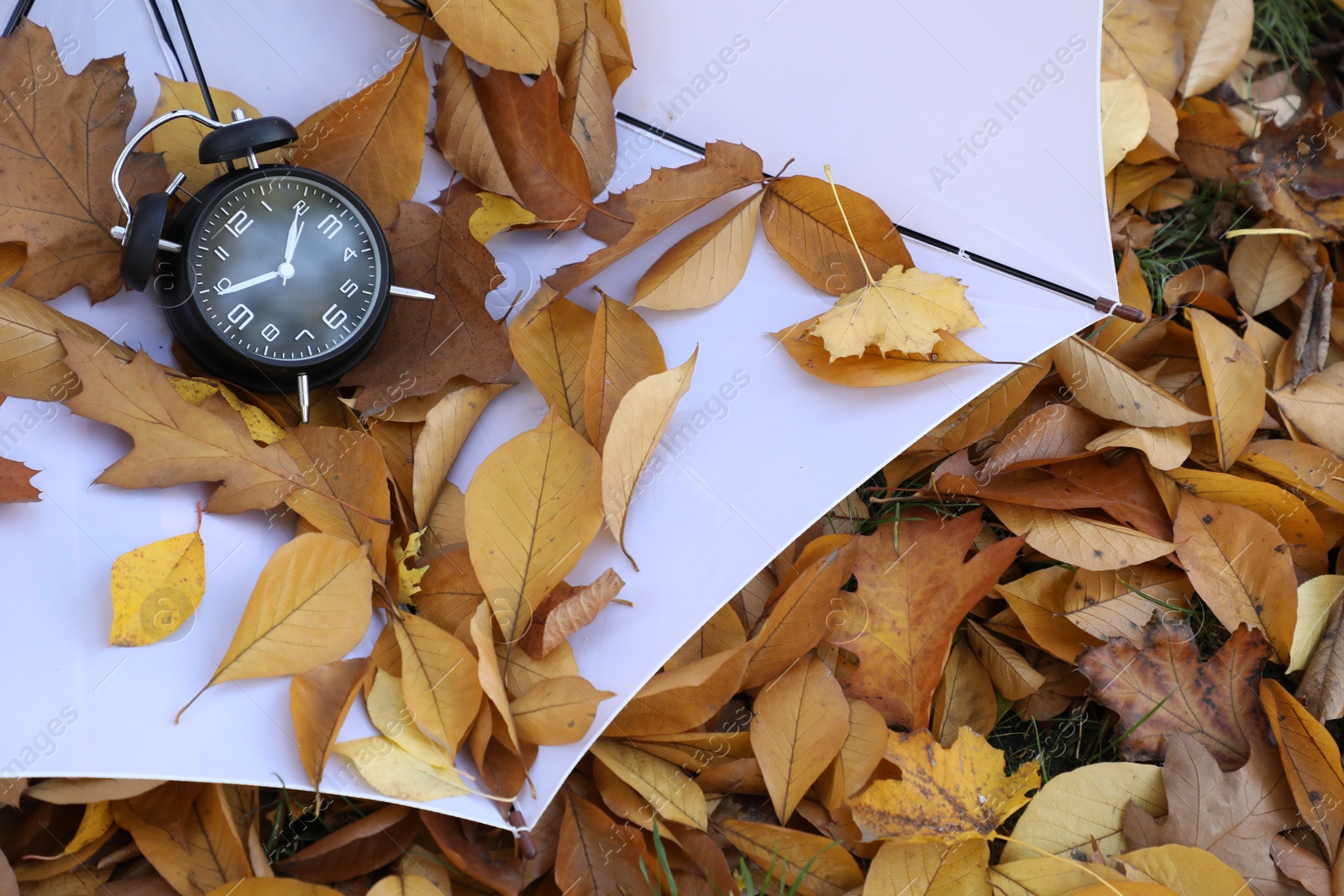 Photo of Alarm clock and white umbrella on dry leaves, above view. Space for text