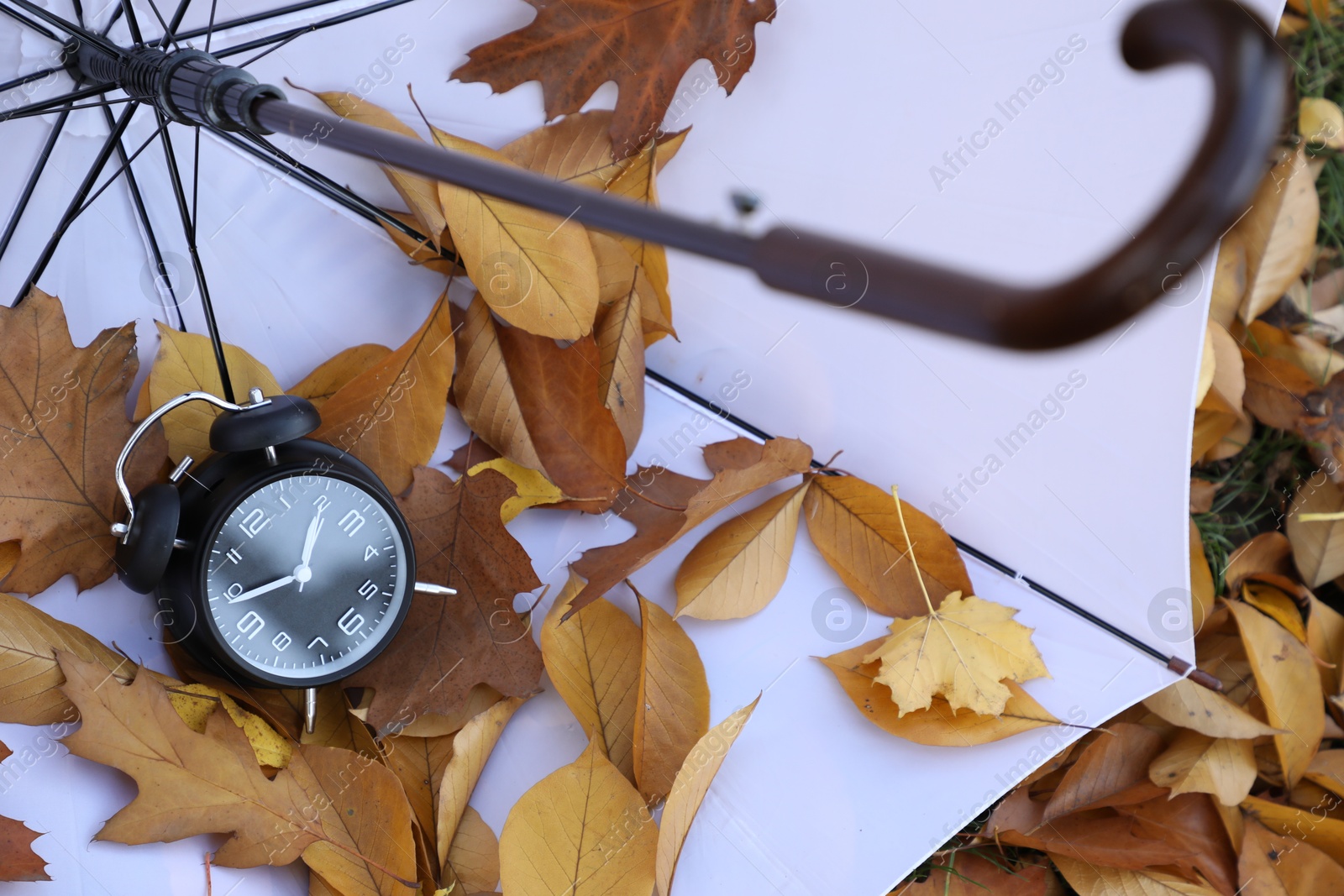 Photo of Alarm clock and white umbrella on dry leaves, above view