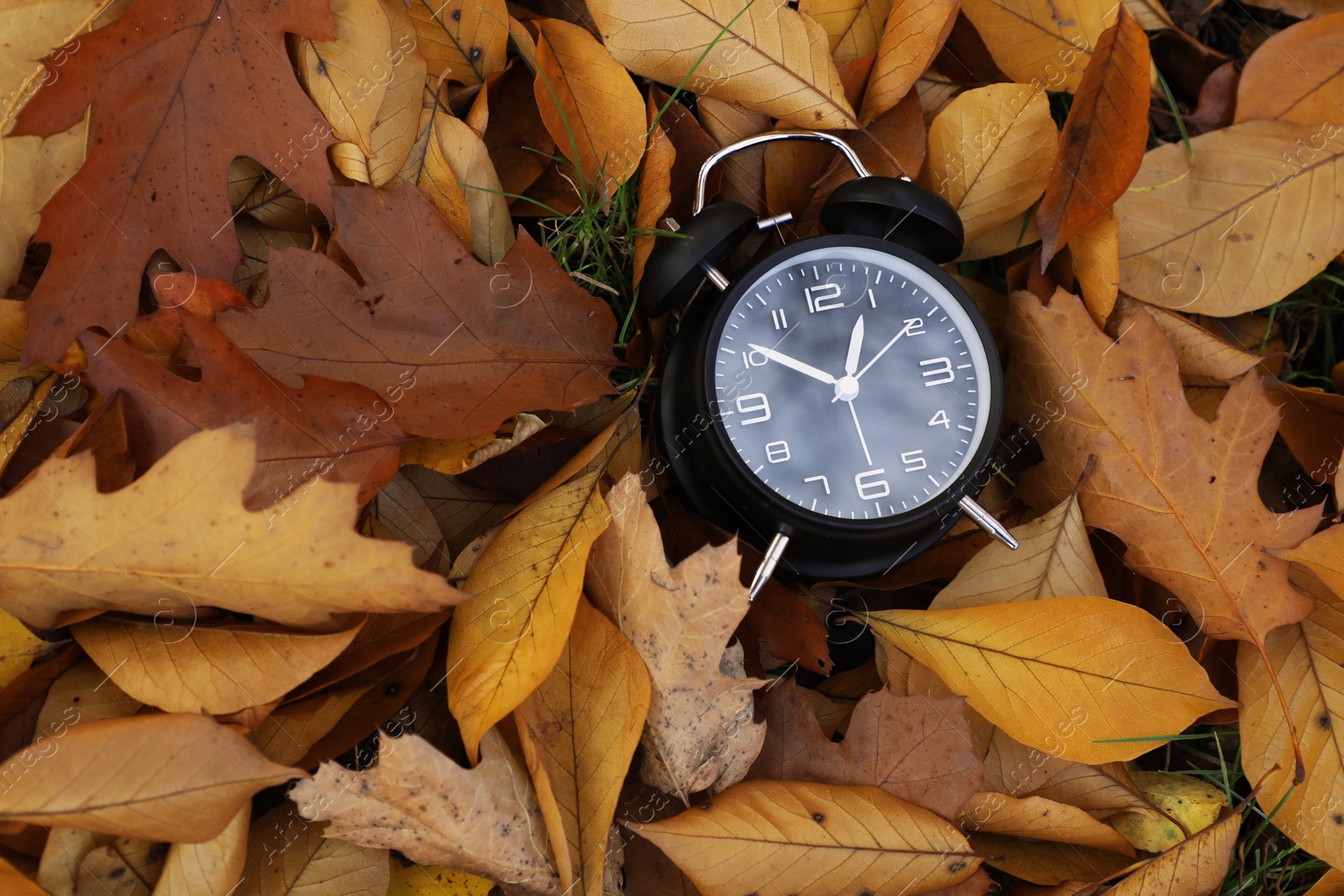 Photo of Alarm clock on dry leaves, top view. Space for text