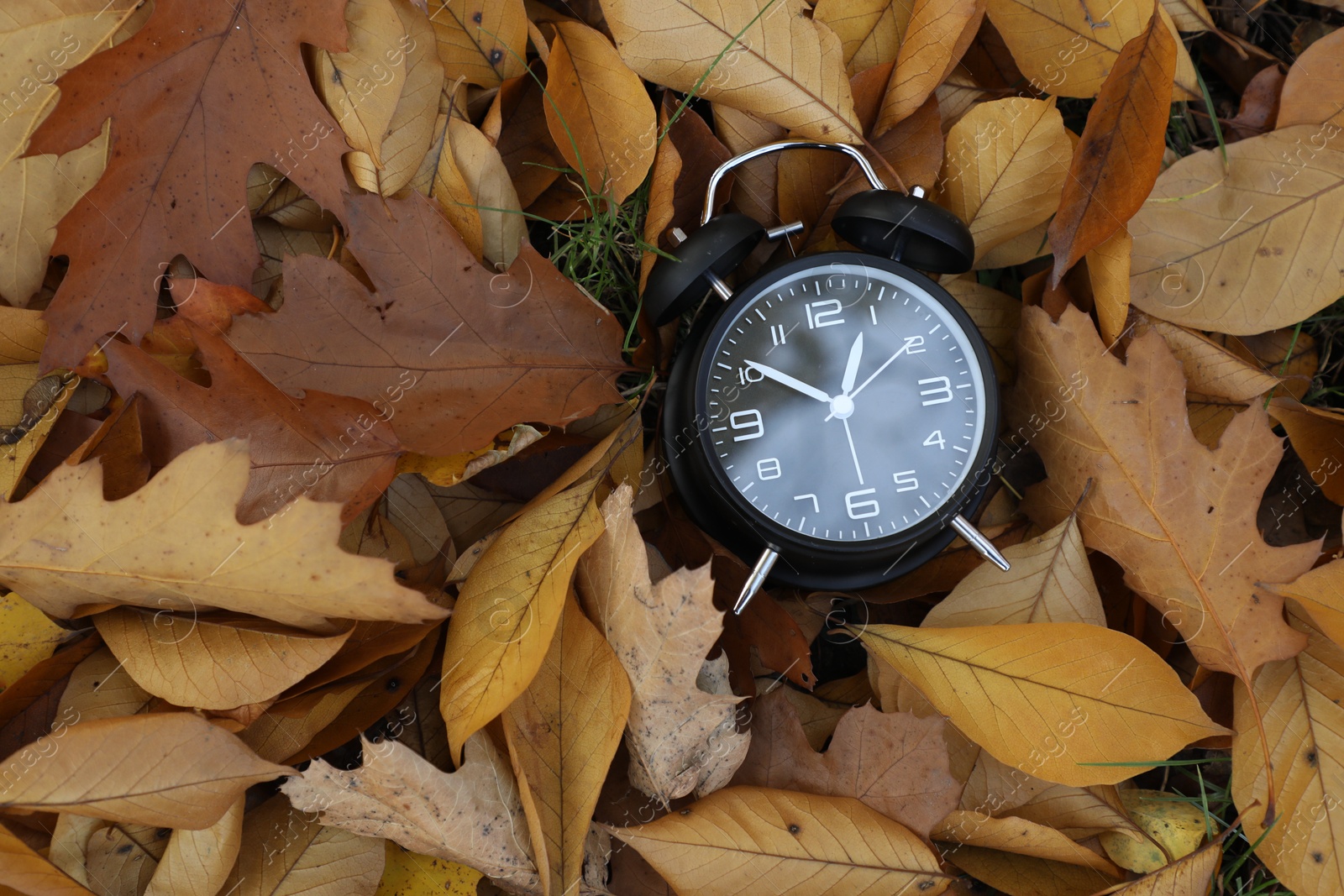 Photo of Alarm clock on dry leaves, top view. Space for text