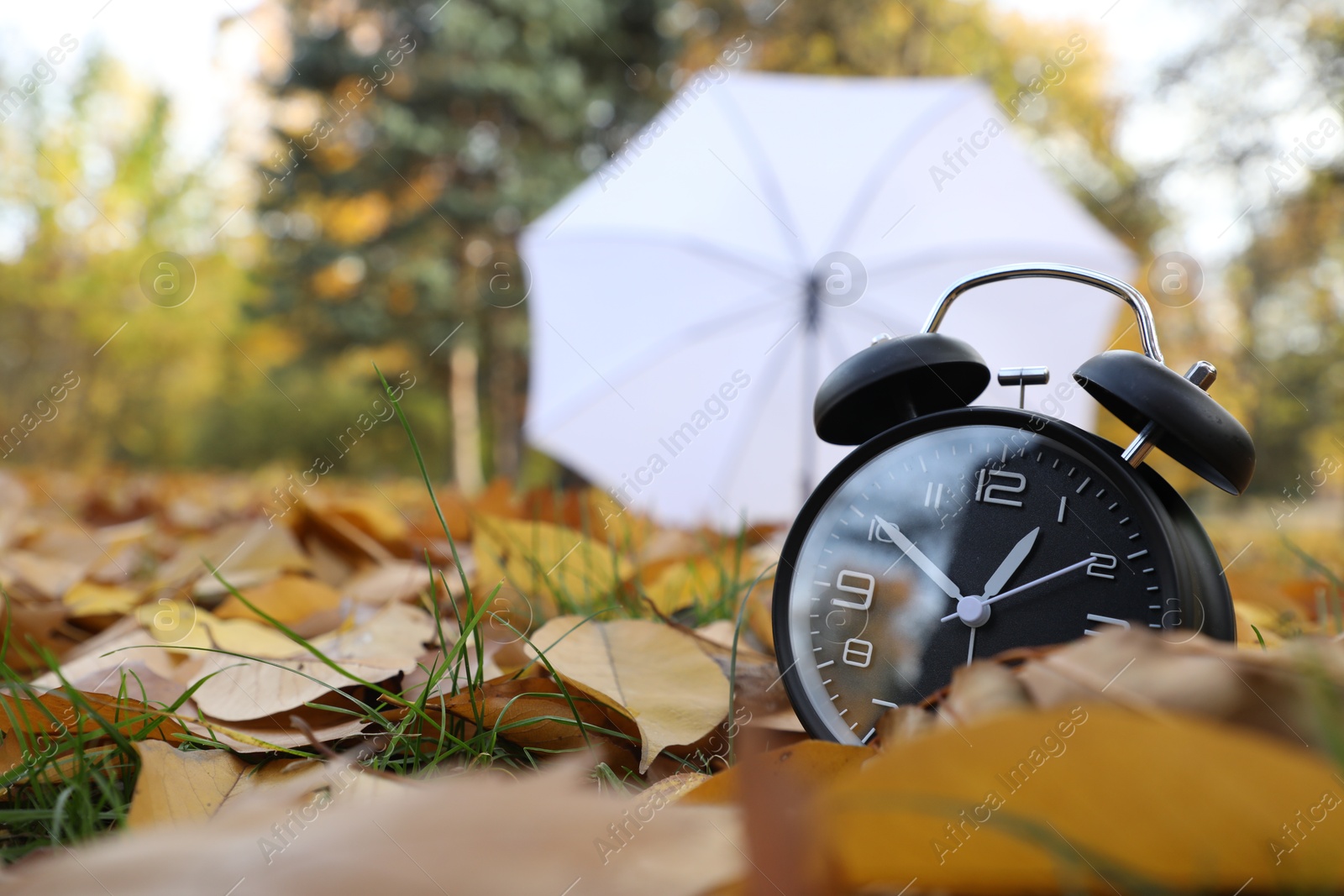 Photo of Alarm clock and white umbrella on dry leaves outdoors, closeup. Space for text