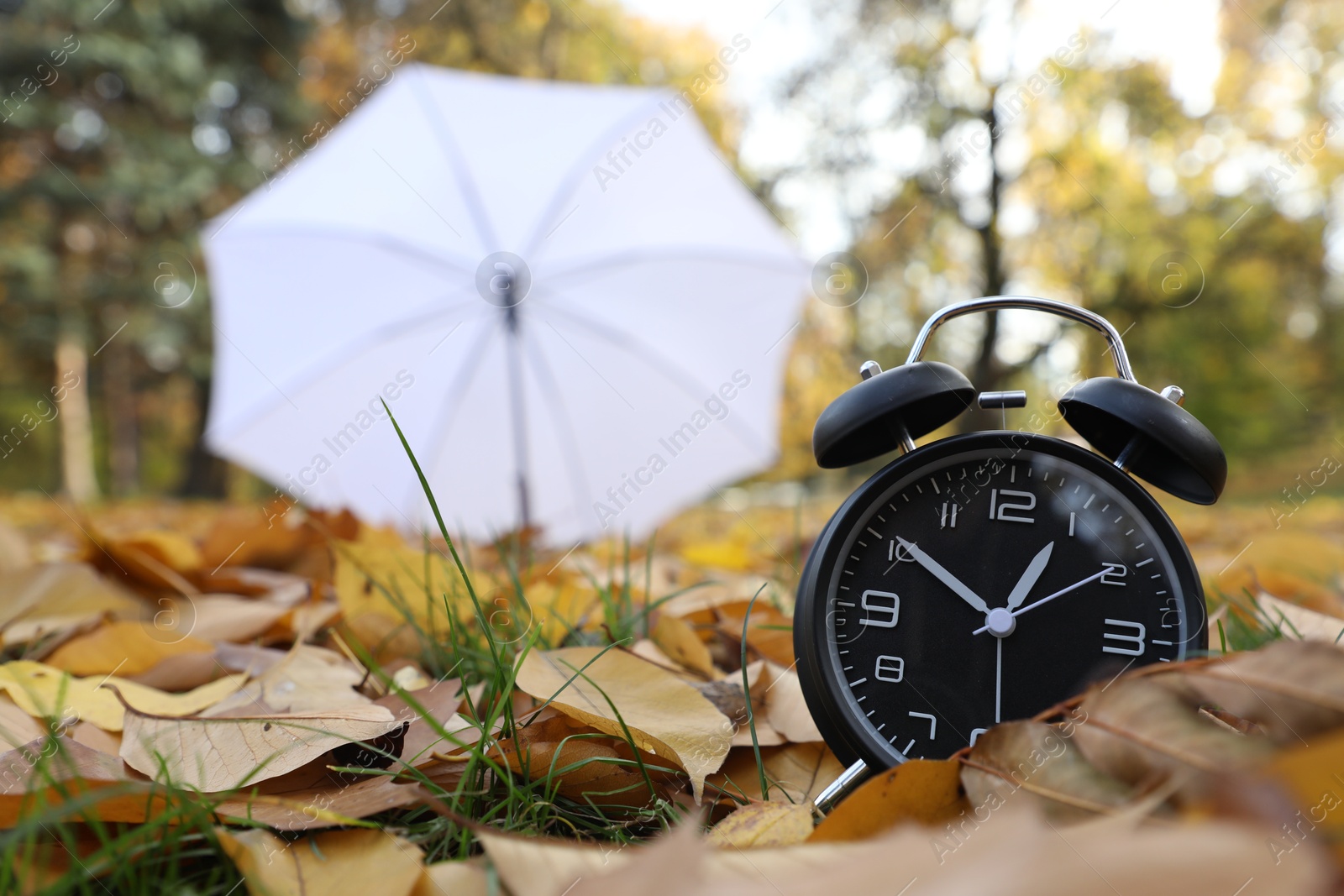 Photo of Alarm clock and white umbrella on dry leaves outdoors, closeup. Space for text