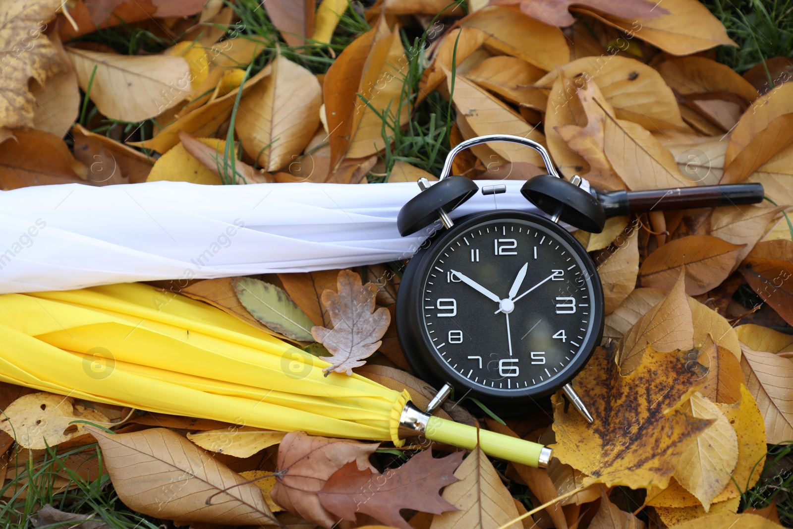 Photo of Alarm clock and umbrellas on dry leaves outdoors, top view