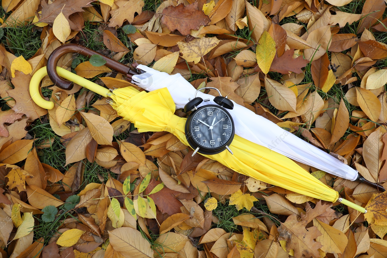 Photo of Alarm clock and umbrellas on dry leaves outdoors, top view