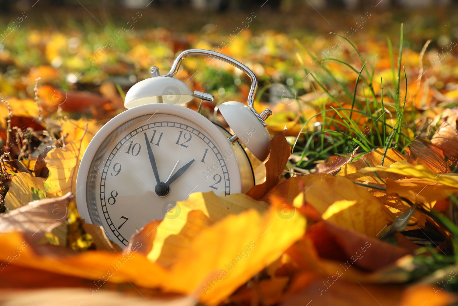 Photo of Alarm clock on dry leaves in park, closeup. Space for text