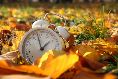 Photo of Alarm clock on dry leaves in park, closeup. Space for text