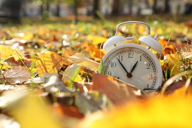 Photo of Alarm clock on dry leaves in park, closeup. Space for text