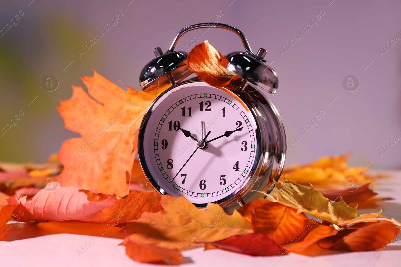 Photo of Alarm clock and dry leaves on white table against blurred background, closeup