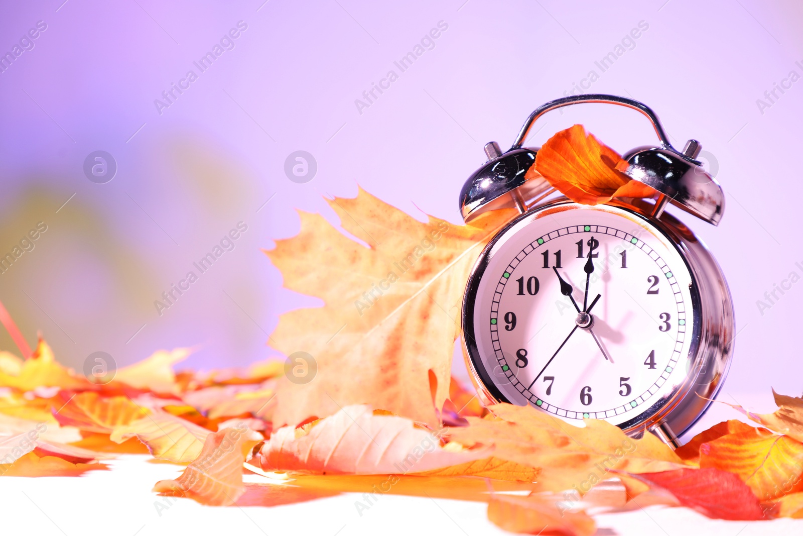 Photo of Alarm clock and dry leaves on white table against blurred background, closeup. Space for text