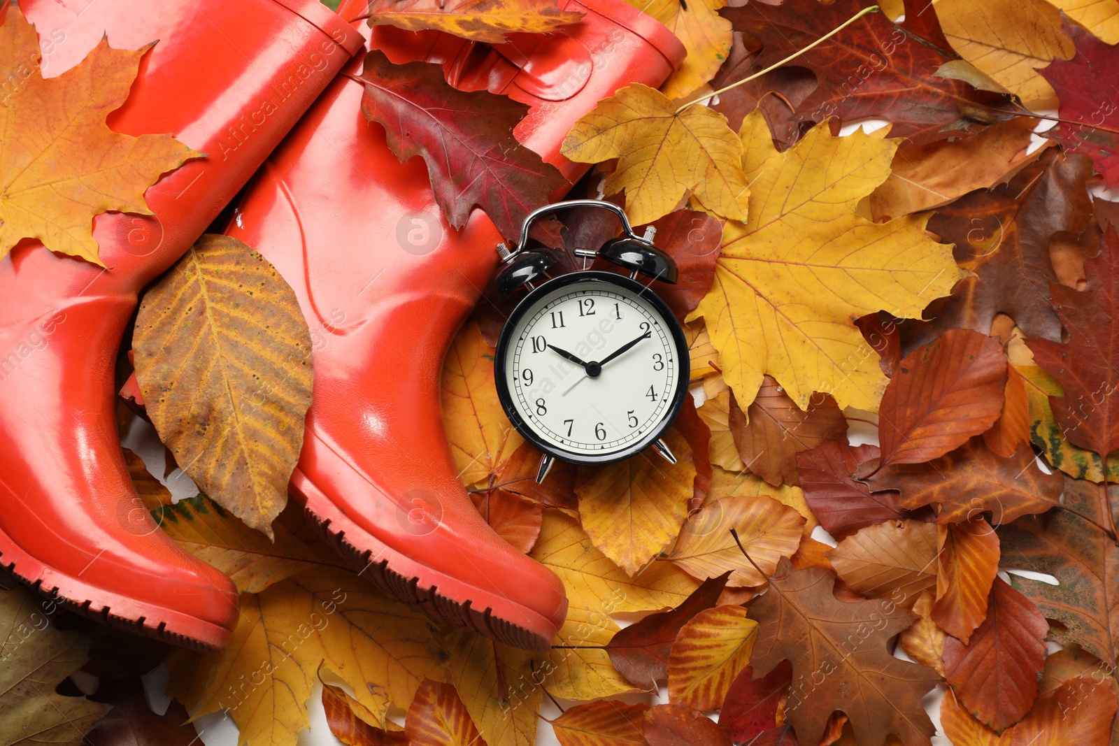 Photo of Alarm clock and rubber boots on dry leaves, flat lay