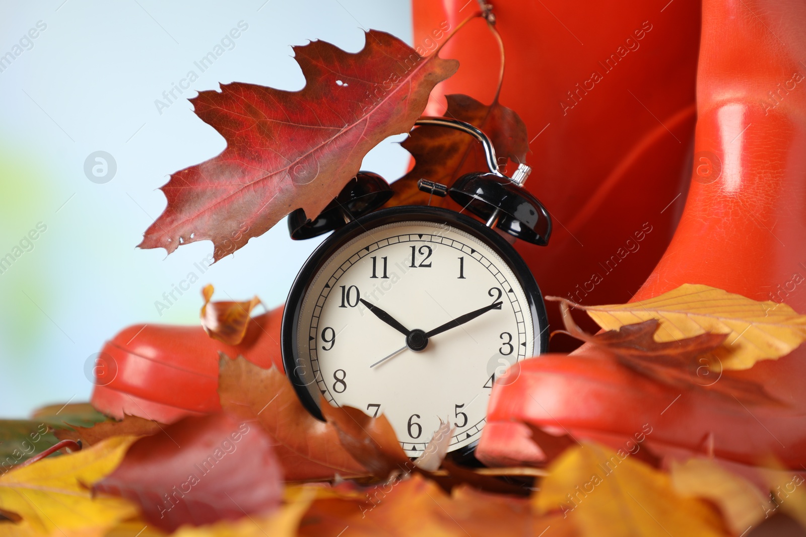 Photo of Alarm clock, dry leaves and rubber boots on blurred background, closeup