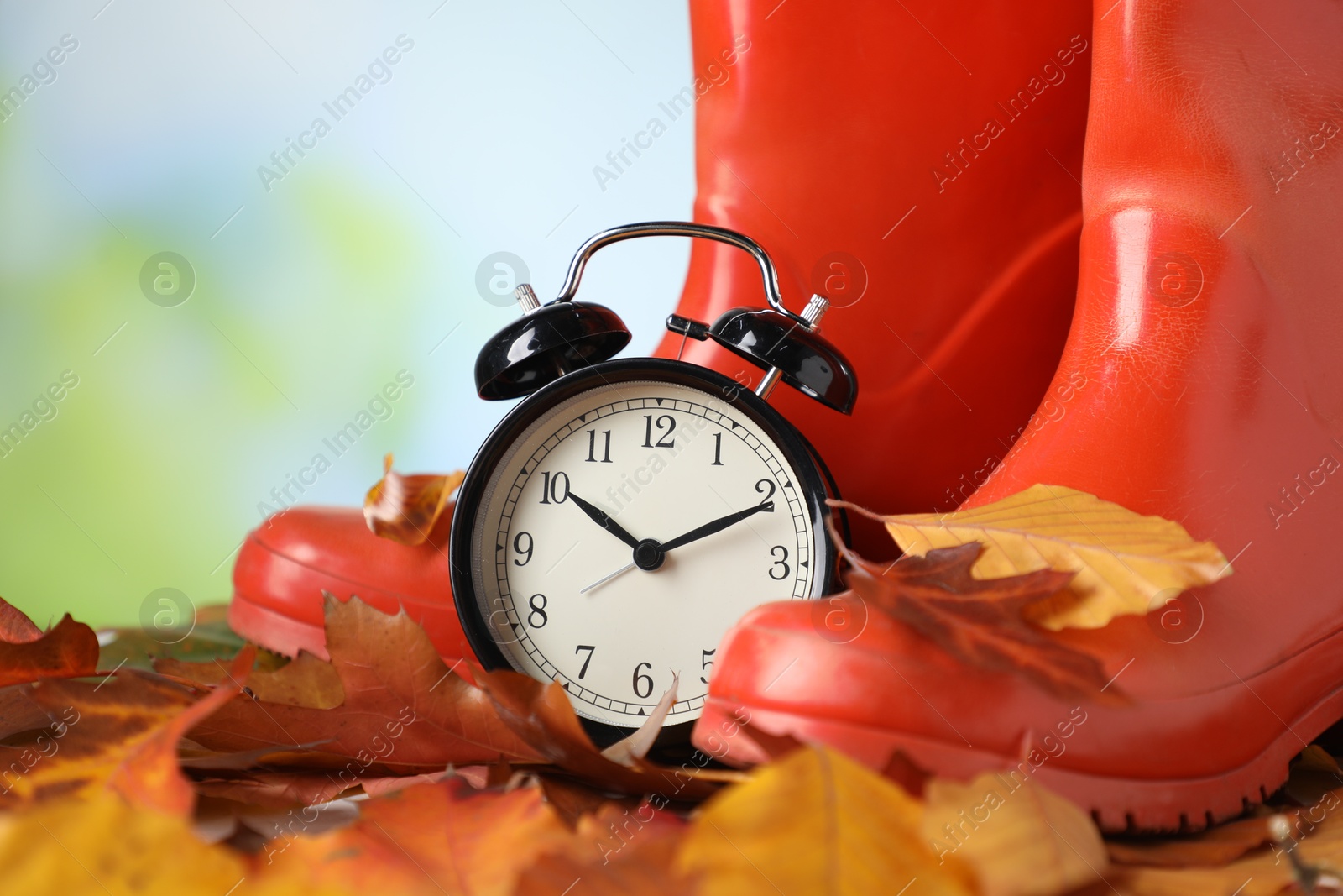 Photo of Alarm clock, dry leaves and rubber boots on blurred background, closeup