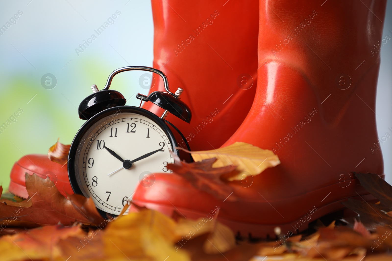 Photo of Alarm clock, dry leaves and rubber boots on blurred background, closeup