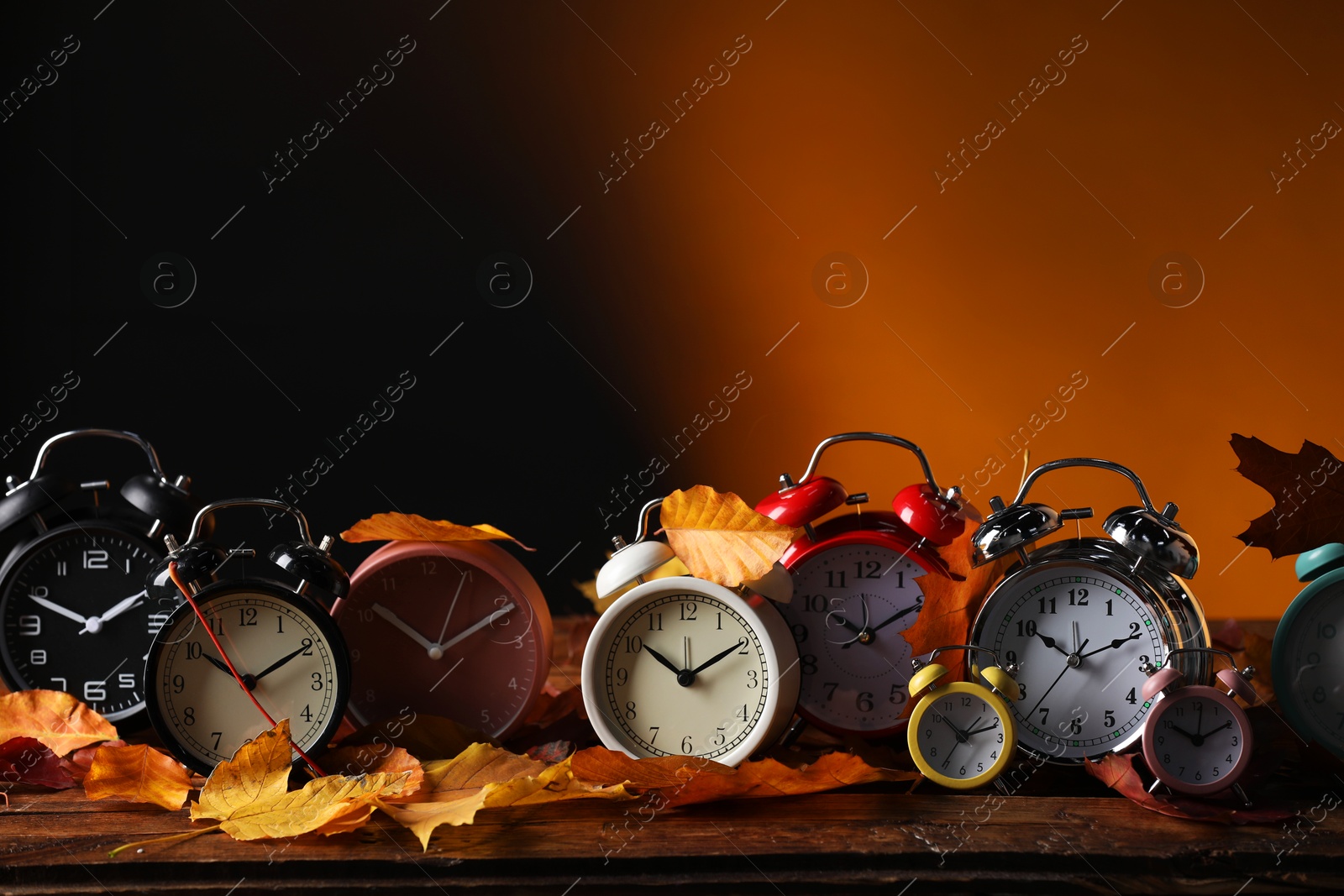 Photo of Alarm clocks and dry leaves on wooden table against brown background, space for text