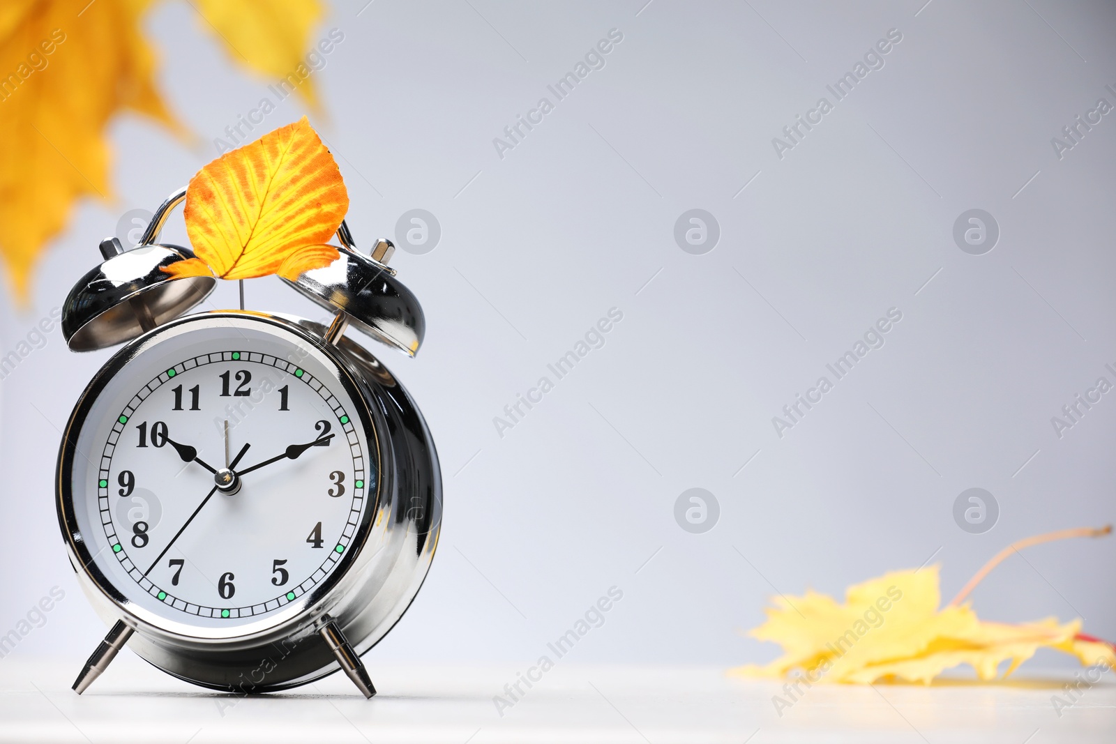 Photo of Alarm clock and dry leaves on light grey background, space for text