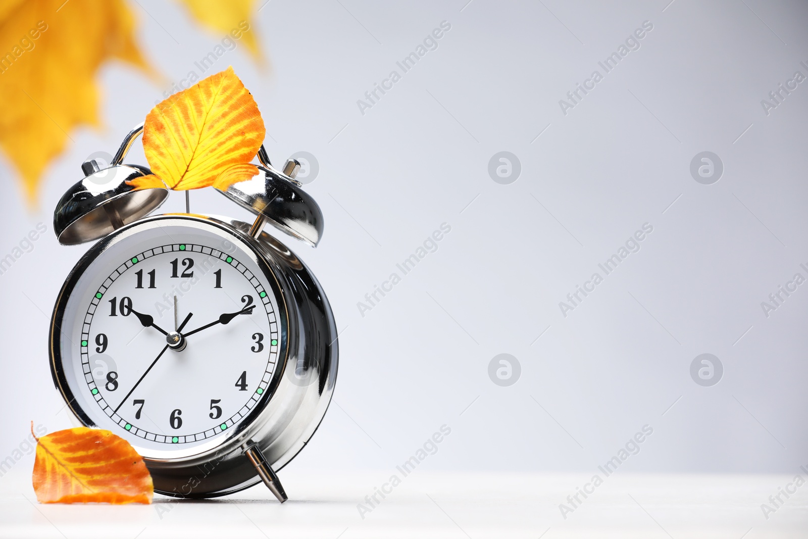 Photo of Alarm clock and dry leaves on light grey background, space for text