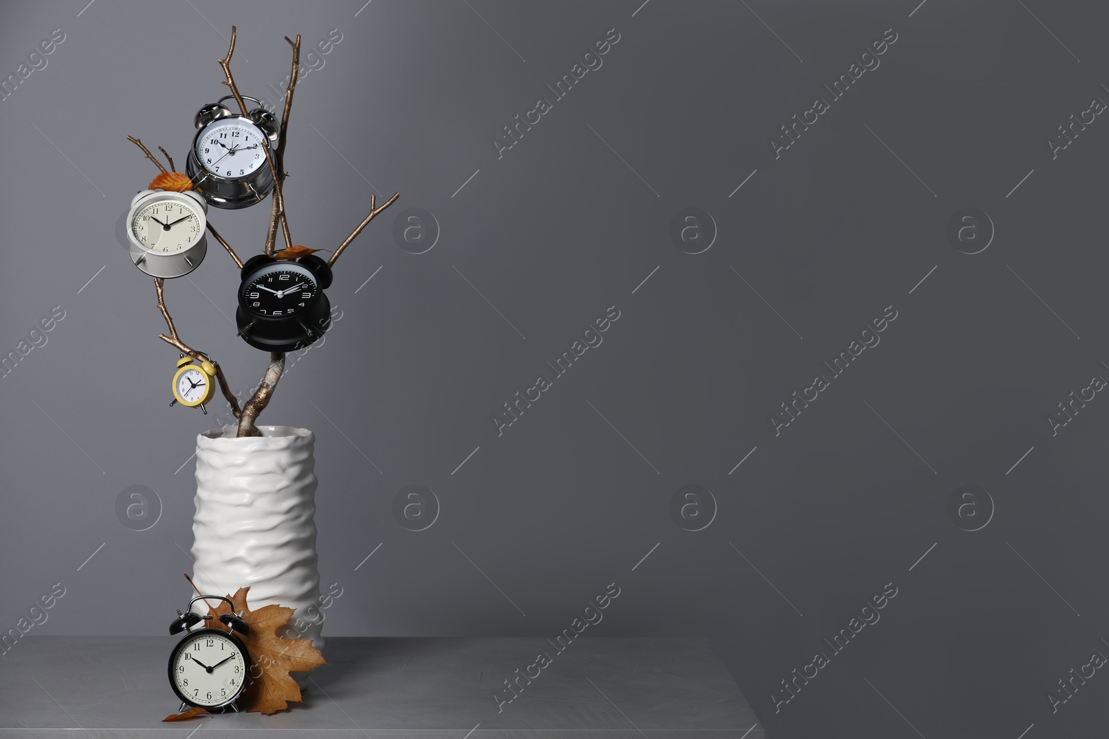 Photo of Vase with alarm clocks, branch and dry leaves on light grey background, space for text