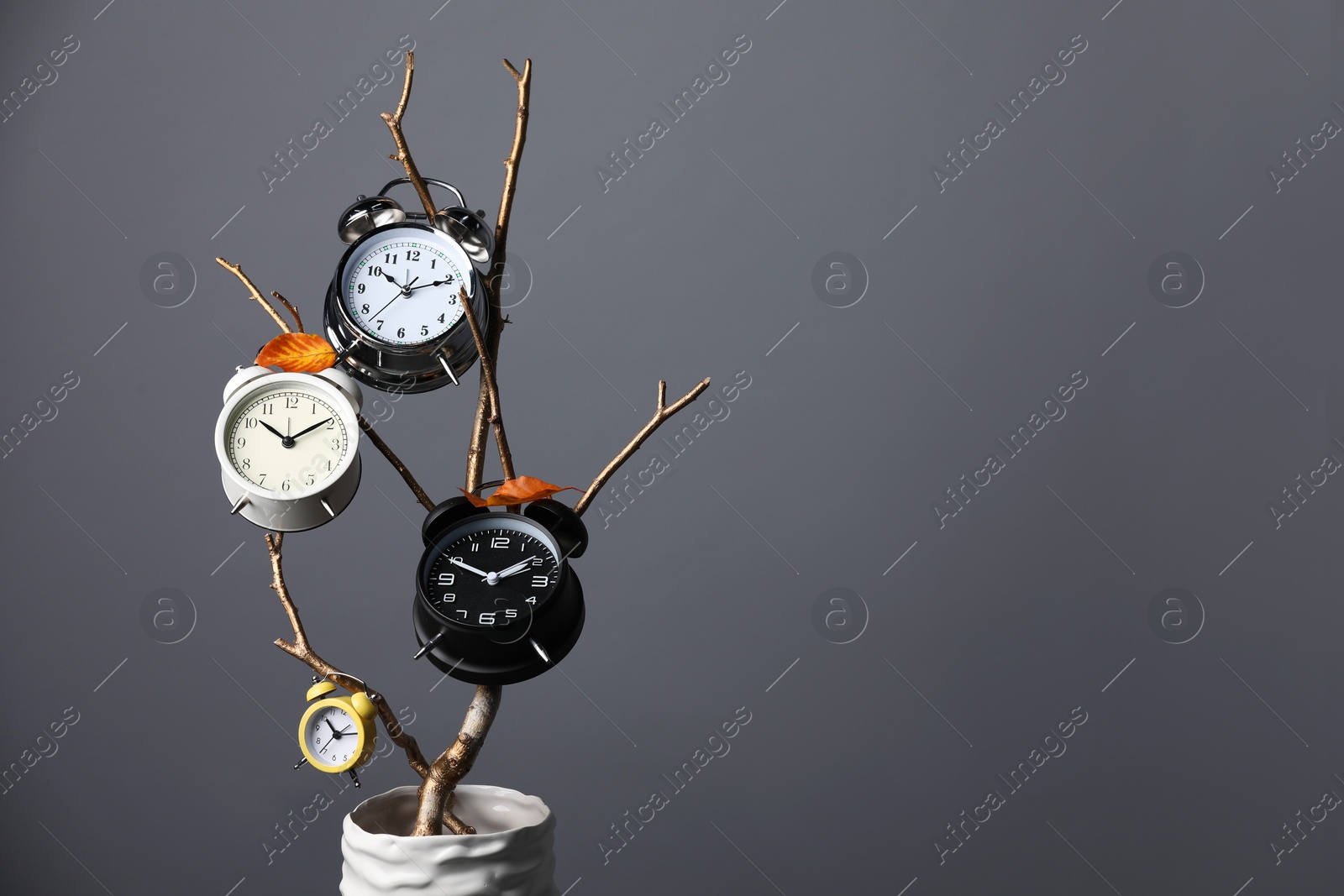 Photo of Vase with alarm clocks, branch and dry leaves on light grey background, space for text