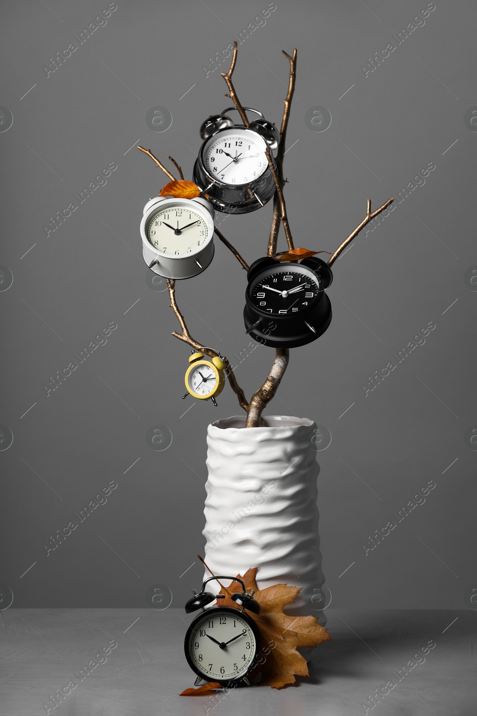 Photo of Vase with alarm clocks, branch and dry leaves on light grey background