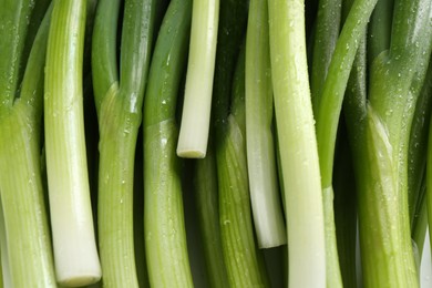 Photo of Many fresh green onions as background, closeup